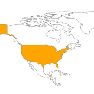 1. US TM Searching