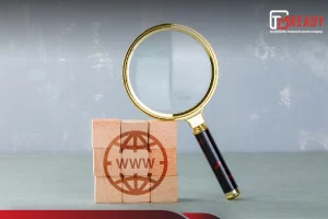Trademark Search Fields Used in TESS Database