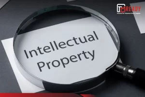 How to Conduct a Trademark Search