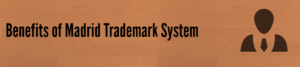 madrid_trademark_systems