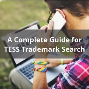 A Complete Guide for TESS Trademark Search