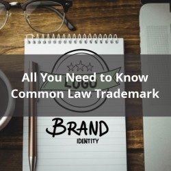 All You Need to Know About Common Law Trademark