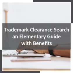 Trademark Clearance Search – an Elementary Guide with Benefits