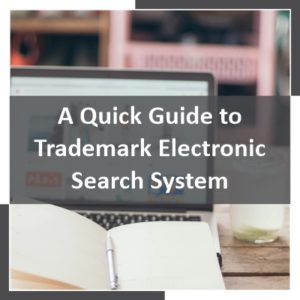 A Quick Guide to Trademark Electronic Search System