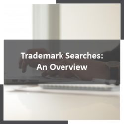 Trademark Searches