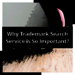 Why trademark search service is so important