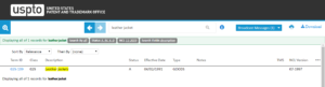 Search-bar-of-Acceptable-Identification-of-Goods-and-Services-Manual-Search-page