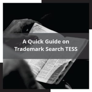 A Quick Guide on Trademark Search TESS