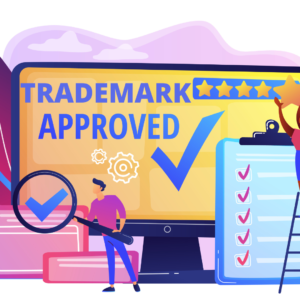 key-parameters-to-perform-usa-trademark-search