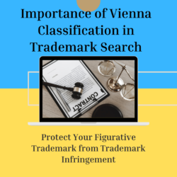 importance-of-vienna-classification