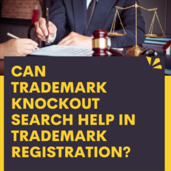what-is-a-trademark-knockout-search