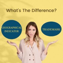 difference-between-geographical-indicators-and-trademarks