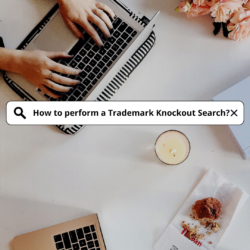 how-to-perform-trademark-knockout-search