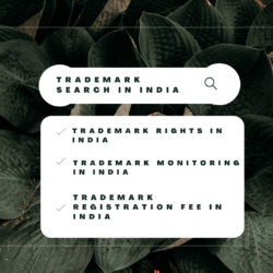 trademark-search-in-india