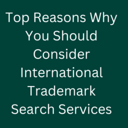 International Trademark Search Services