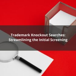 Trademark Knockout searches