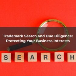 Trademark Search and Due diligience