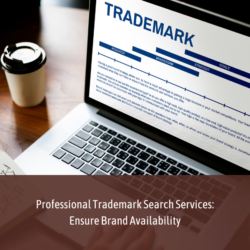 Professional Trademark Search Services